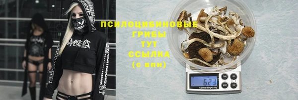 марки nbome Баксан