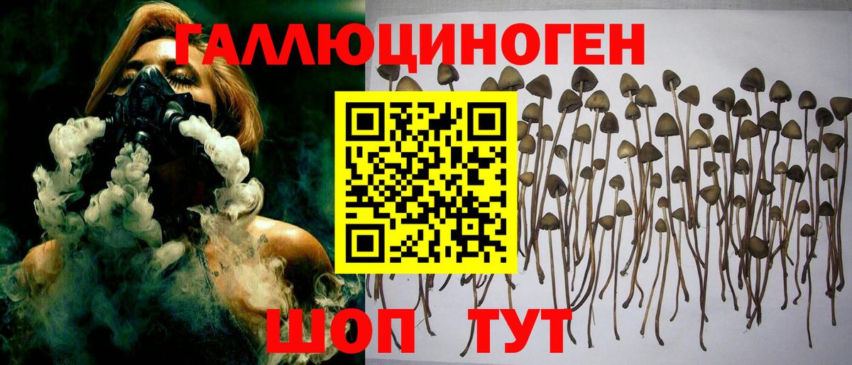 Галлюциногенные грибы прущие грибы  Галлюциногенные грибы ЛСД  Вход с VPN  Губаха 